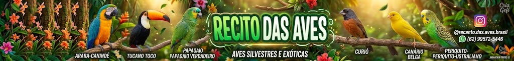 Recanto das aves